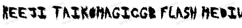reeji taikomagicgb flash medium字体转换